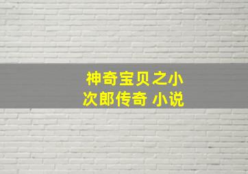 神奇宝贝之小次郎传奇 小说